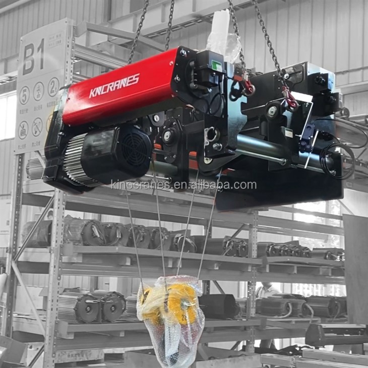 Sollevatore per carichi pesanti